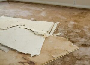 insurance claim Services