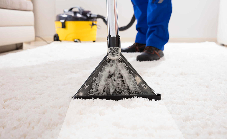 Professional carpet cleaning Loudoun County service