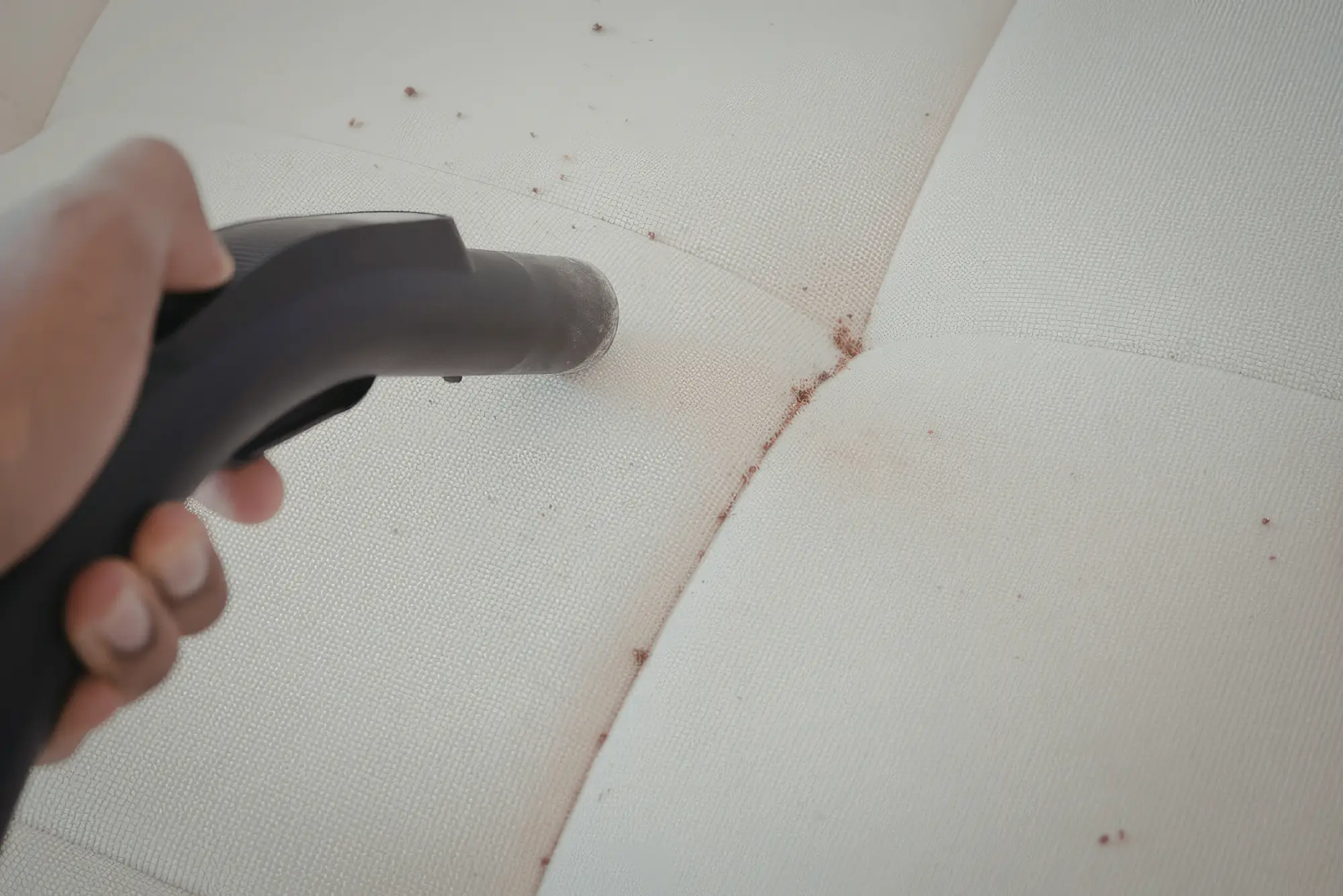 upholstery-cleaning-chantilly-benefits